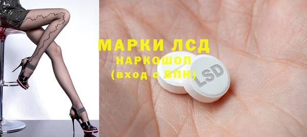 ПСИЛОЦИБИНОВЫЕ ГРИБЫ Аркадак