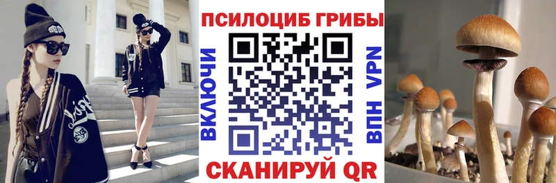Купить где Смоленск Псилоцибиновые грибы GOLDEN TEACHER